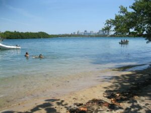 Why Raccoon Island Miami Florida