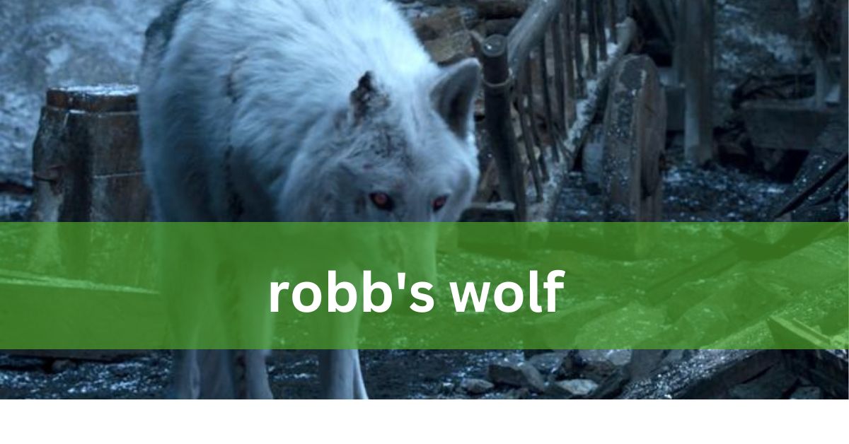 Robb’s Wolf – A Complete Guide Of Information!