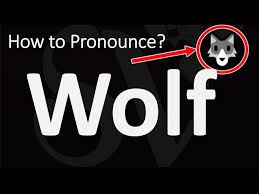 How Do You Pronounce The Hebrew Word For Wolf