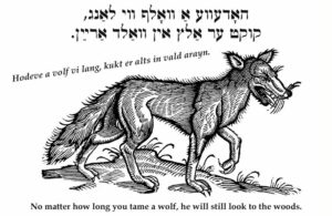 When Was The Hebrew Word For Wolf