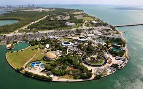 Aquariums and Marine Centers ISLAND MIAMI