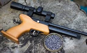 Killer Potential Of Bb Guns